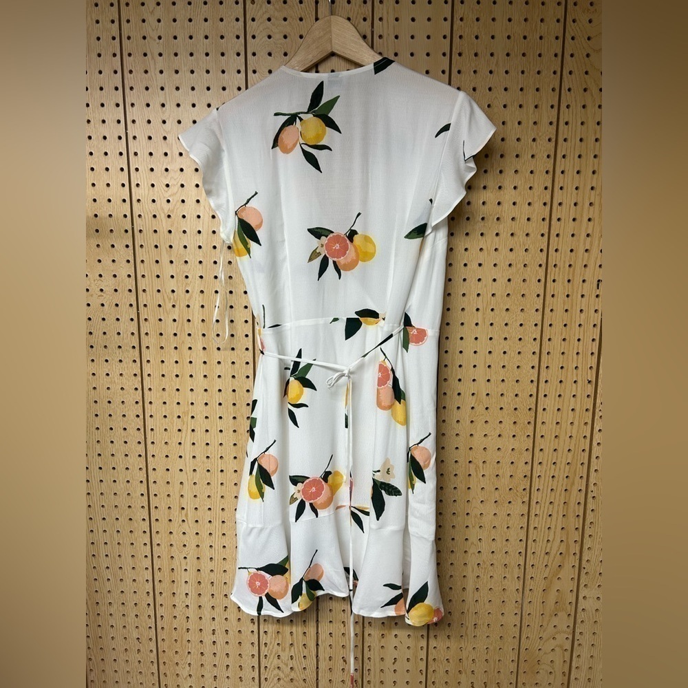 Rails Grapefruit Print Mini Dress - image 3